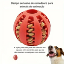 Bola Interativa para Cães – Brinquedo Resistente e Dispensador de Petiscos e Limpeza Dental 🐶🦷