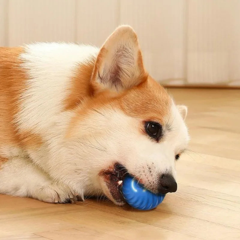 Bola Interativa Inteligente para Cães – Brinquedo Automático Recarregável USB 🐶⚽