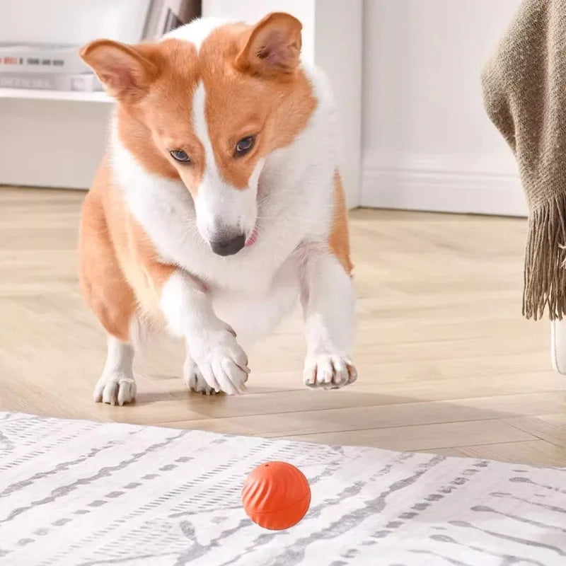 Bola Interativa Inteligente para Cães – Brinquedo Automático Recarregável USB 🐶⚽
