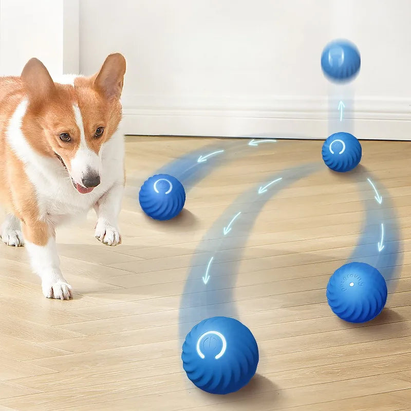 Bola Interativa Inteligente para Cães – Brinquedo Automático Recarregável USB 🐶⚽