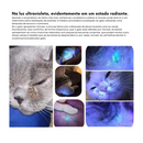 Caneta Veterinária com Luz UV – Lâmpada de Wood para Detecção de Fungos em Pets | À Prova D’Água e Recarga USB